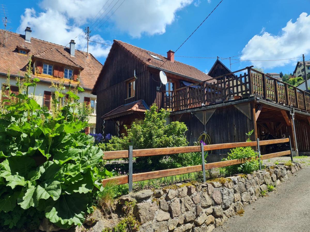 Le Chalet Du Tanet Spa Sauna Terrasse En Alsace Soultzeren Kültér fotó