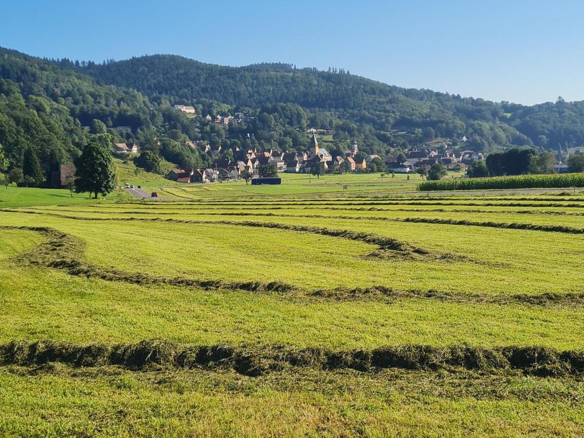 Le Chalet Du Tanet Spa Sauna Terrasse En Alsace Soultzeren Kültér fotó