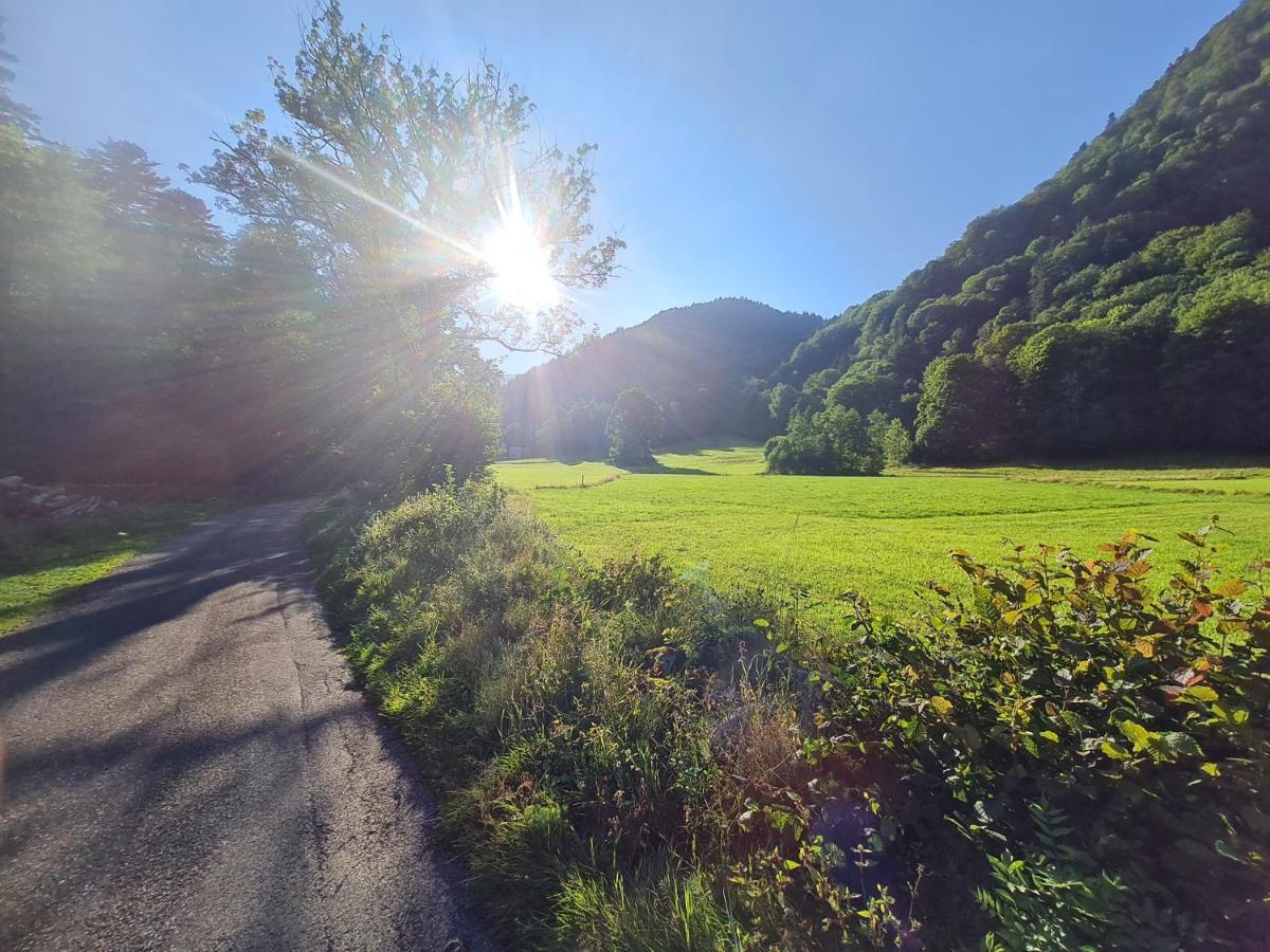 Le Chalet Du Tanet Spa Sauna Terrasse En Alsace Soultzeren Kültér fotó
