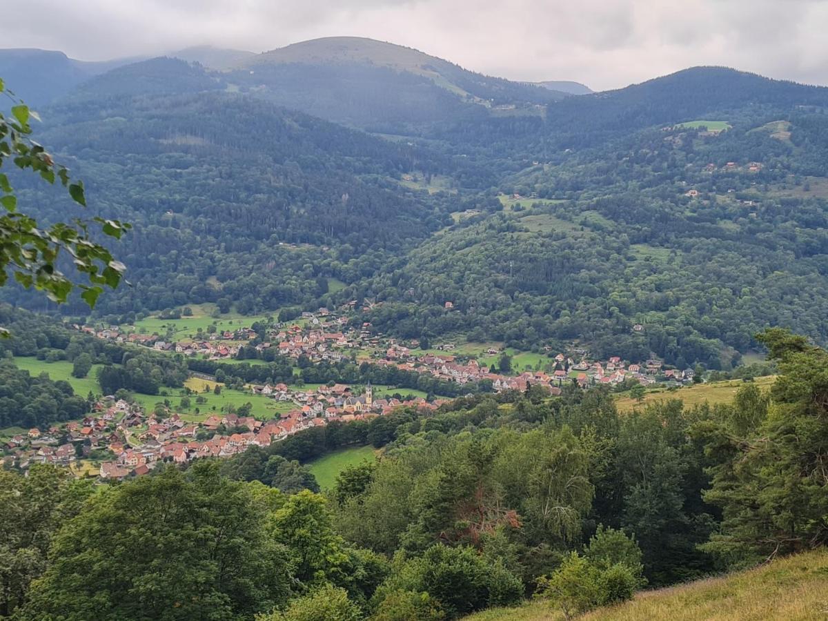 Le Chalet Du Tanet Spa Sauna Terrasse En Alsace Soultzeren Kültér fotó