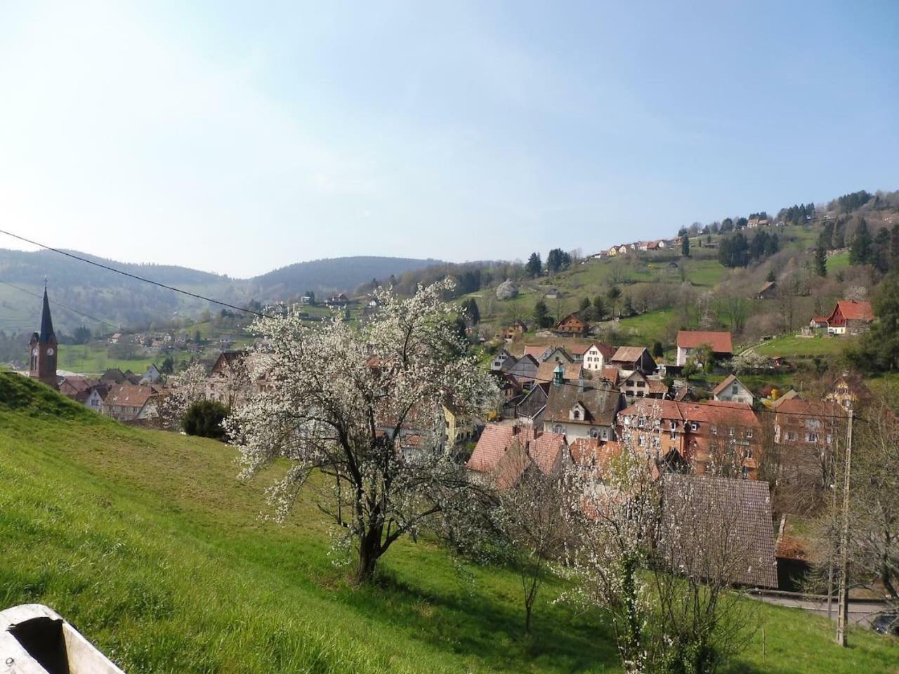 Le Chalet Du Tanet Spa Sauna Terrasse En Alsace Soultzeren Kültér fotó